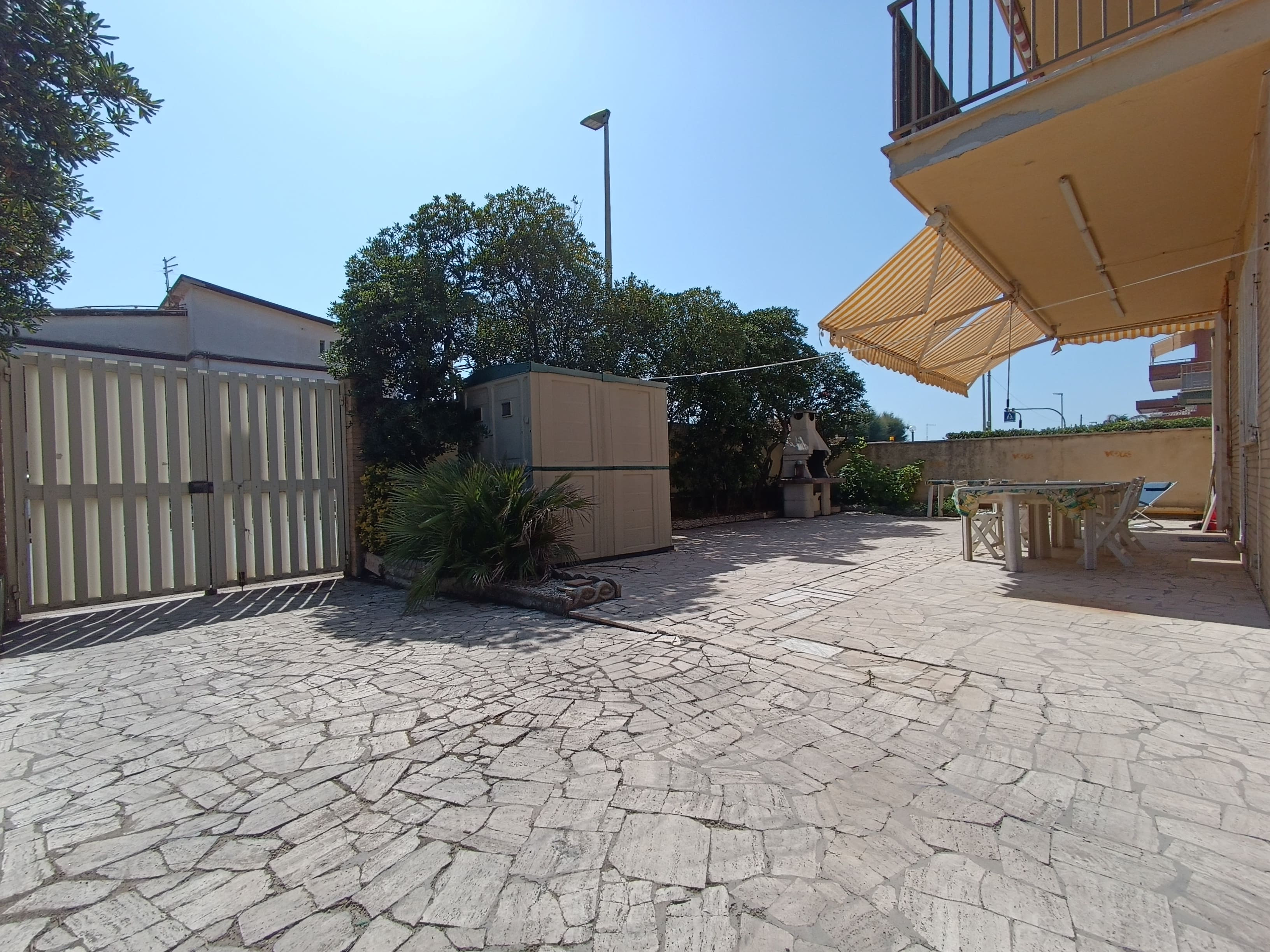 garden